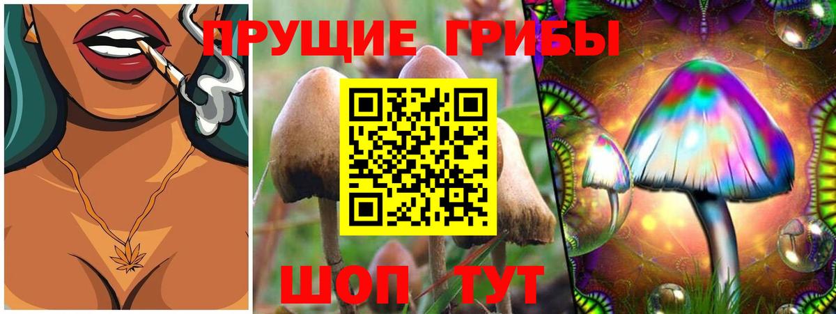 Псилоцибиновые грибы мухоморы Котельники