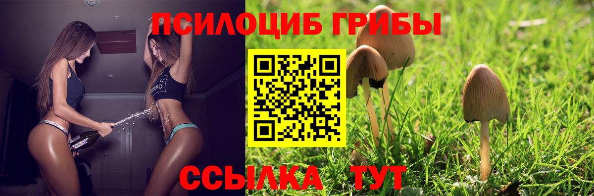 Галлюциногенные грибы Magic Shrooms  Вход с VPN  Котельники 