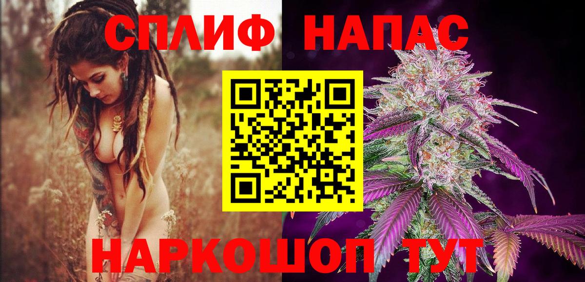 Котельники  Канабис тримм  Канабис Bruce Banner  Вход с VPN  Бошки марихуана сатива 